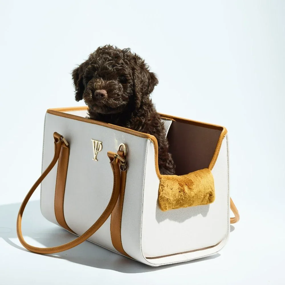 Ivory and Gold Leather Luxury Dog Carrier, Dog Bag, Dog tote for small dogs